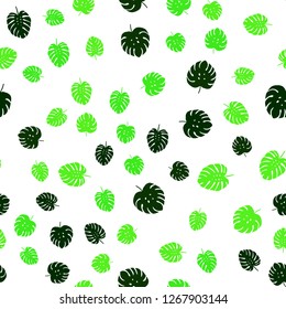 Light Green vector seamless abstract pattern with leaves. Colorful illustration in doodle style with leaves. Template for business cards, websites.