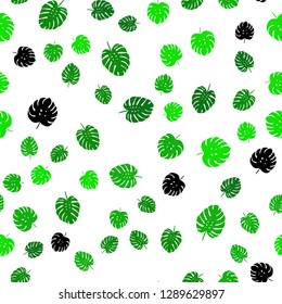 Light Green vector seamless abstract background with leaves. Colorful abstract illustration with leaves in doodle style. Template for business cards, websites.