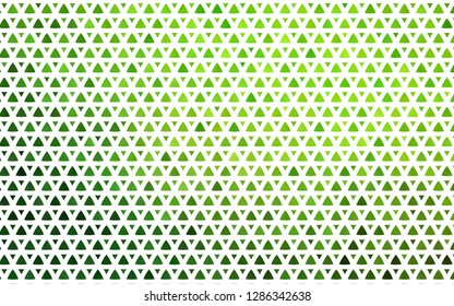 Light Green vector seamless cover in polygonal style. Triangles on abstract background with colorful gradient. Template for business cards, websites.