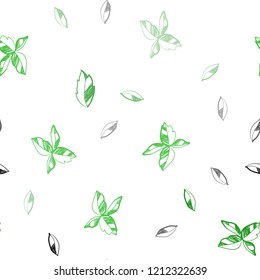 Light Green vector seamless doodle background with leaves. Colorful illustration in doodle style with leaves. Pattern for design of window blinds, curtains.