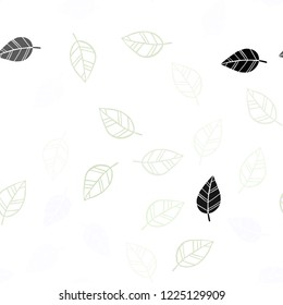Light Green vector seamless elegant pattern with leaves. Shining colored illustration with leaves in doodle style. Template for business cards, websites.