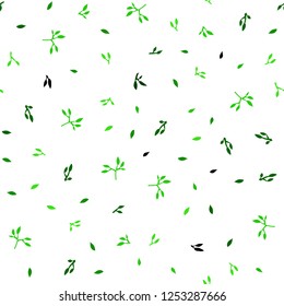 Light Green vector seamless elegant wallpaper with leaves. Shining colored illustration with leaves in doodle style. Pattern for design of window blinds, curtains.