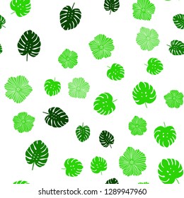 Light Green vector seamless elegant wallpaper with flowers, leaves. Creative illustration in blurred style with leaves, flowers. Design for wallpaper, fabric makers.