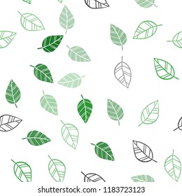 Light Green vector seamless natural backdrop with leaves. A vague abstract illustration with leaves in doodles style. Template for business cards, websites.