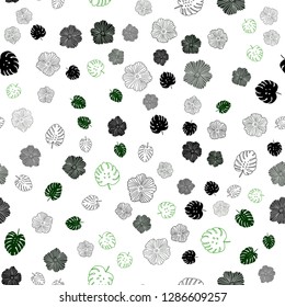 Light Green vector seamless natural artwork with leaves, flowers. An elegant bright illustration with leaves and flowers. Pattern for design of fabric, wallpapers.