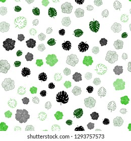Light Green vector seamless natural backdrop with leaves, flowers. Leaves, flowers in natural style on white background. Texture for window blinds, curtains.
