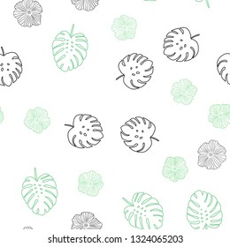 Light Green vector seamless natural artwork with flowers, leaves. Leaves, flowers in natural style on white background. Pattern for trendy fabric, wallpapers.