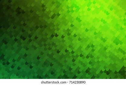 Light Green vector shining cranked pattern. Shining illustration, which consist of curved lines. A completely new template for your business design.