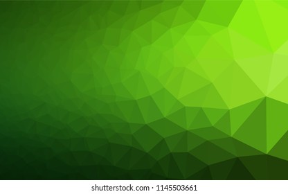 Light Green vector shining hexagonal template. Shining colored illustration in a Brand new style. A completely new design for your business.