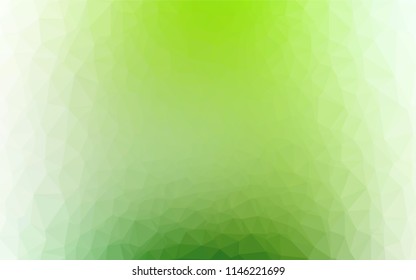 Light Green vector shining hexagonal template. An elegant bright illustration with gradient. The polygonal design can be used for your web site.