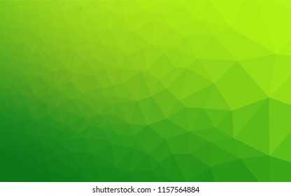 Light Green vector shining hexagonal background. A completely new color illustration in a vague style. The best triangular design for your business.