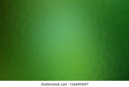 Light Green vector shining hexagonal template. Brand new colored illustration in blurry style with gradient. A completely new template for your business design.