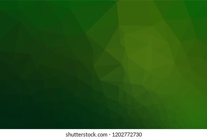 Light Green vector shining hexagonal template. Brand new colored illustration in blurry style with gradient. Brand new style for your business design.