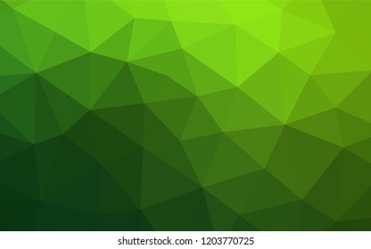 Light Green vector shining hexagonal template. Colorful illustration in abstract style with gradient. Brand new design for your business.