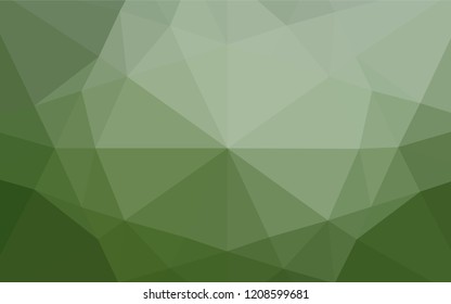 Light Green vector shining hexagonal template. Glitter abstract illustration with an elegant design. The best triangular design for your business.