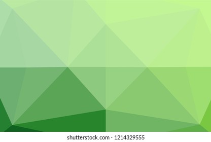 Light Green vector shining hexagonal template. Colorful illustration in abstract style with gradient. The textured pattern can be used for background.
