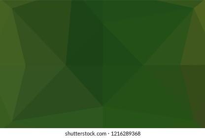 Light Green vector shining hexagonal template. A sample with polygonal shapes. A completely new design for your business.