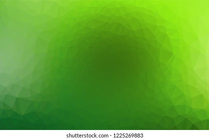 Light Green vector shining hexagonal background. Geometric illustration in Origami style with gradient.  A completely new design for your business.