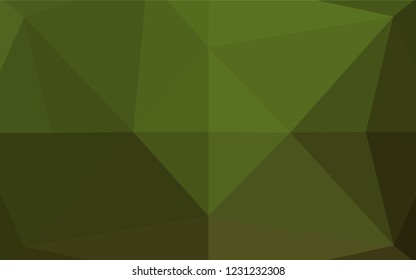 Light Green vector shining hexagonal pattern. Creative geometric illustration in Origami style with gradient. Triangular pattern for your business design.