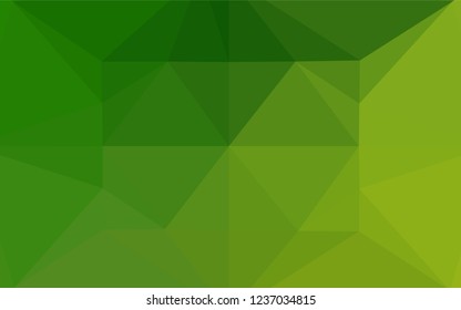 Light Green vector shining hexagonal pattern. Brand new colored illustration in blurry style with gradient. The best triangular design for your business.