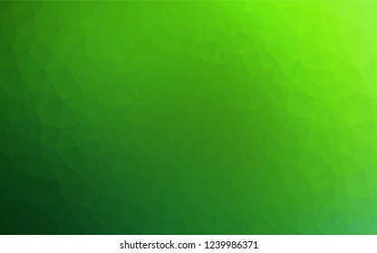 Light Green vector shining hexagonal template. A vague abstract illustration with gradient. A completely new design for your business.