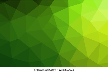 Light Green vector shining hexagonal background. Geometric illustration in Origami style with gradient.  The textured pattern can be used for background.