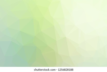 Light Green vector shining hexagonal background. Shining colored illustration in a Brand new style. Brand new design for your business.