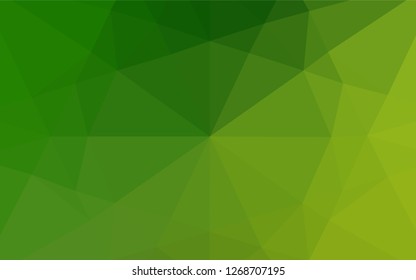 Light Green vector shining hexagonal background. Glitter abstract illustration with an elegant design. A completely new design for your business.