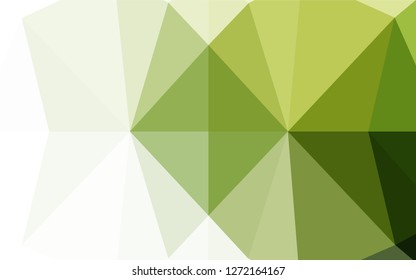 Light Green vector shining hexagonal pattern. A sample with polygonal shapes. A completely new design for your business.
