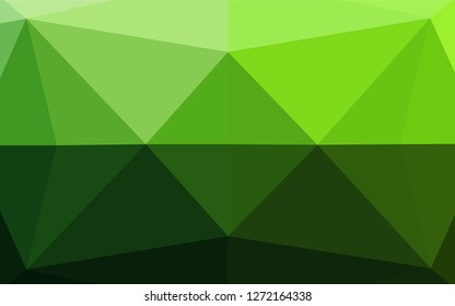 Light Green vector shining hexagonal template. A completely new color illustration in a vague style. A completely new design for your business.