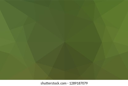 Light Green vector shining hexagonal template. A vague abstract illustration with gradient. The textured pattern can be used for background.