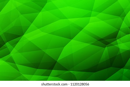 Light Green vector shining triangular cover. Glitter abstract illustration with an elegant triangles. A new texture for your web site.