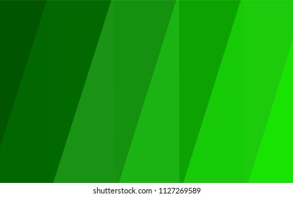 Light Green vector shining triangular layout. Colorful abstract illustration with gradient. The template for cell phone's backgrounds.