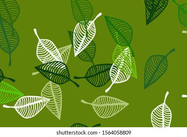Light Green vector sketch backdrop. Abstract leaves with gradient on simple background. New template for your brand book.