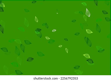 Light Green vector sketch backdrop. New colorful illustration in doodle style with leaves. Completely new design for your business.