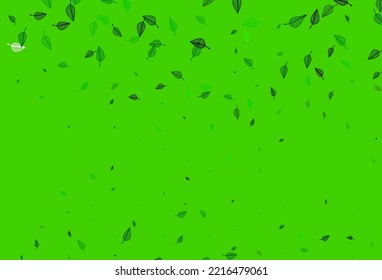 Light Green vector sketch layout. Smart decorative design in natural style with leaves. Pattern for coloring books and pages for kids.