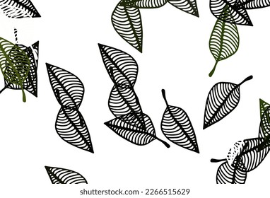 Light Green vector sketch layout. New colorful illustration in doodle style with leaves. A new texture for your design.