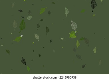 Light Green vector sketch pattern. Shining colorful illustration with leaves in doodle style. Brand new style for your business design.