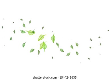 Light Green vector sketch template. Creative illustration in simple style with leaves. Pattern for brand book.