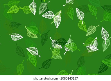 Light Green vector sketch texture. A vague abstract illustration with leaves in doodles style. The template for background of cell phones.