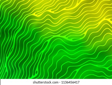 Light Green vector template with bubble shapes. Glitter abstract illustration with wry lines. A completely new template for your business design.