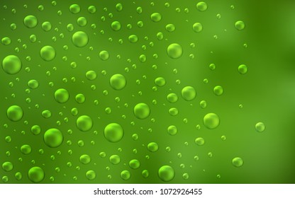 Light Green vector template with circles. Beautiful colored illustration with blurred circles in nature style. New design for ad, poster, banner of your website.
