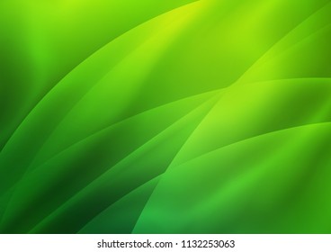 Light Green vector template with repeated sticks. Lines on blurred abstract background with gradient. Smart design for your business advert.