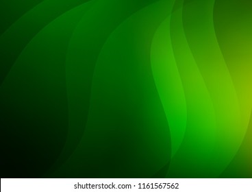 Light Green vector template with repeated sticks. Shining colored illustration with narrow lines. Best design for your ad, poster, banner.