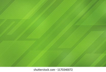 Light Green vector template with repeated sticks. Decorative shining illustration with lines on abstract template. The pattern for ad, booklets, leaflets.