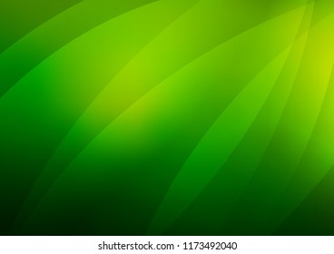 Light Green vector template with repeated sticks. Shining colored illustration with narrow lines. The pattern can be used as ads, poster, banner for commercial.