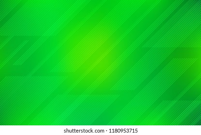 Light Green vector template with repeated sticks. Blurred decorative design in simple style with lines. Template for your beautiful backgrounds.