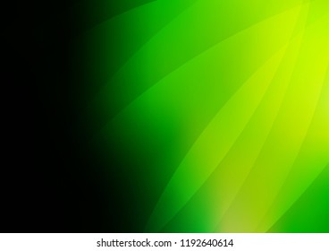 Light Green vector template with repeated sticks. Shining colored illustration with narrow lines. The pattern can be used for websites.