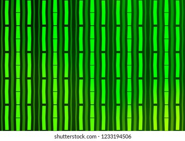 Light Green vector template with repeated sticks. Shining colored illustration with narrow lines. The template can be used as a background.