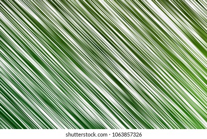 Light Green vector texture with colored lines. Shining colored illustration with narrow lines. Best design for your ad, poster, banner.
